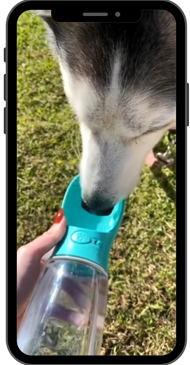Charger la vidéo : 